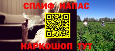 прущие грибы Среднеуральск